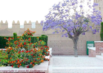 Garden of the Alcazaba in Almeria.