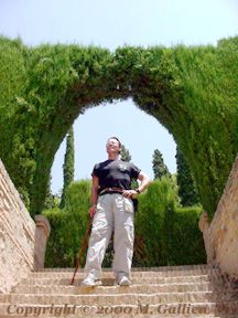 In the Garden of the Generalife